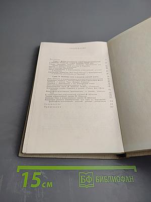 Проблемы иенского романтизма