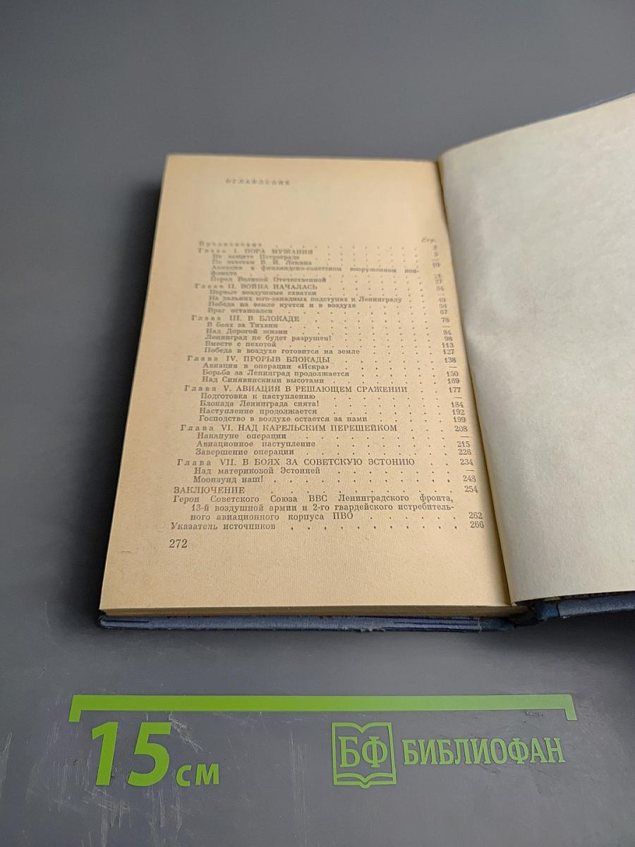 Под крылом - Ленинград