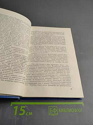 Соня Рапортует: Подвиг Разведчицы