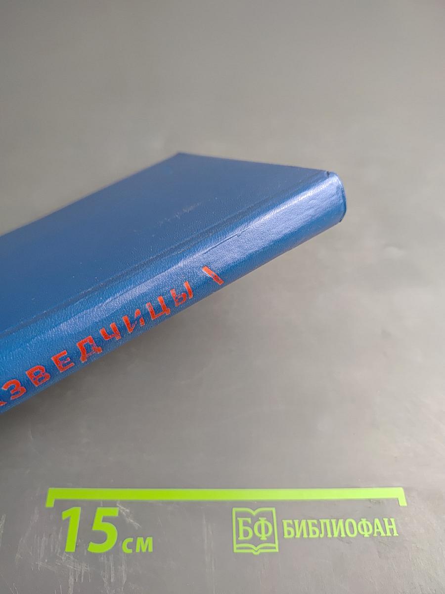 Соня Рапортует: Подвиг Разведчицы