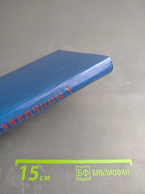 Соня Рапортует: Подвиг Разведчицы