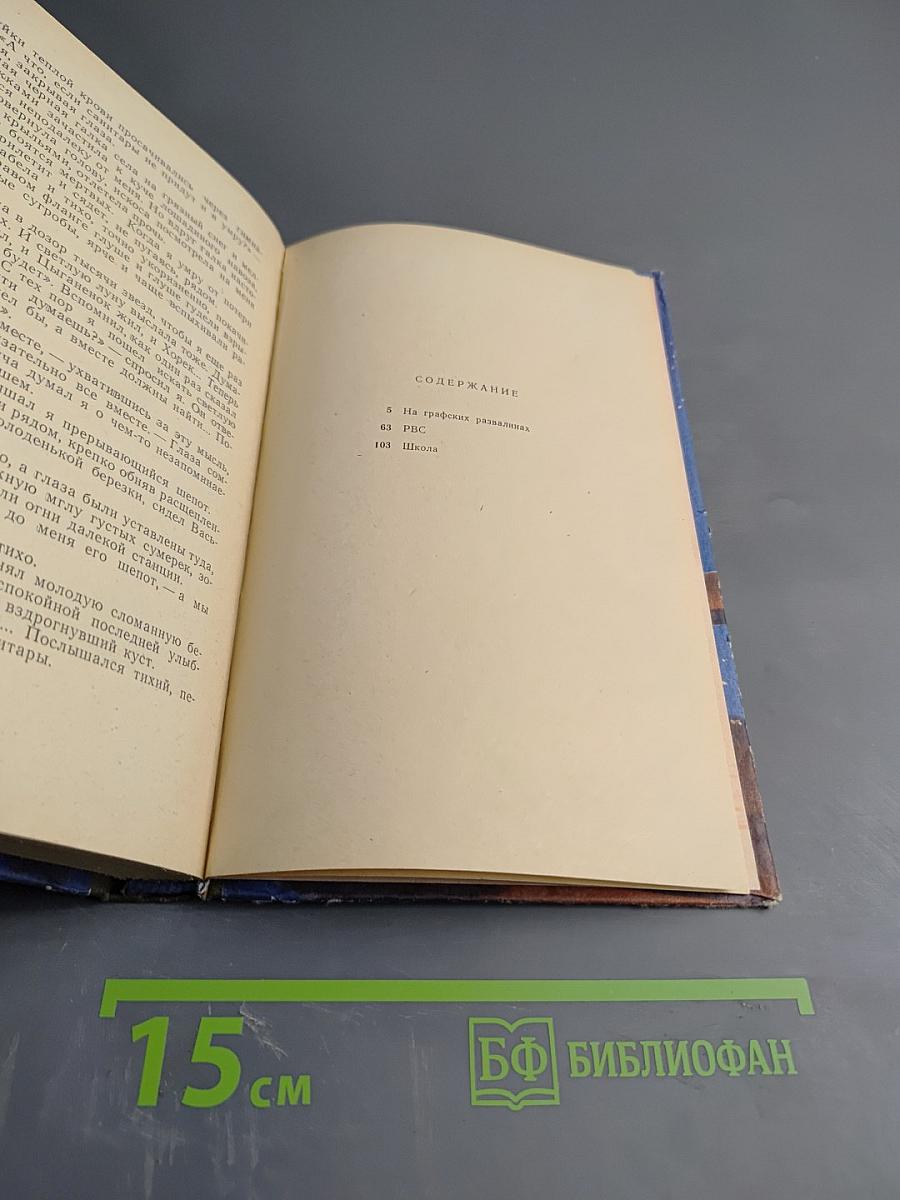 На графских развалинах. РВС. Школа