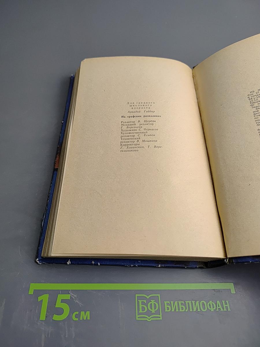 На графских развалинах. РВС. Школа