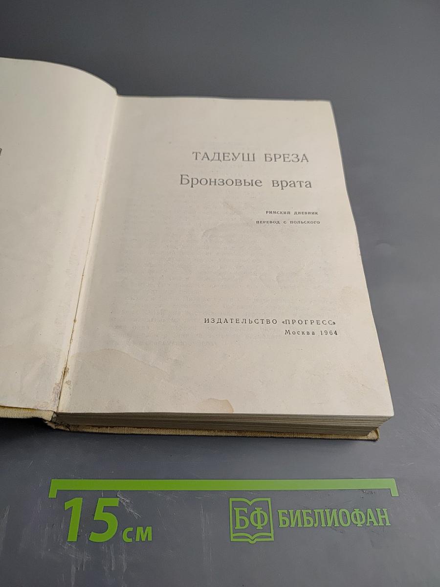 Бронзовые врата