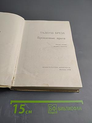 Бронзовые врата