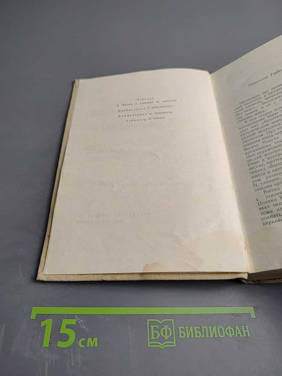 Бронзовые врата