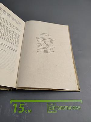 Бронзовые врата