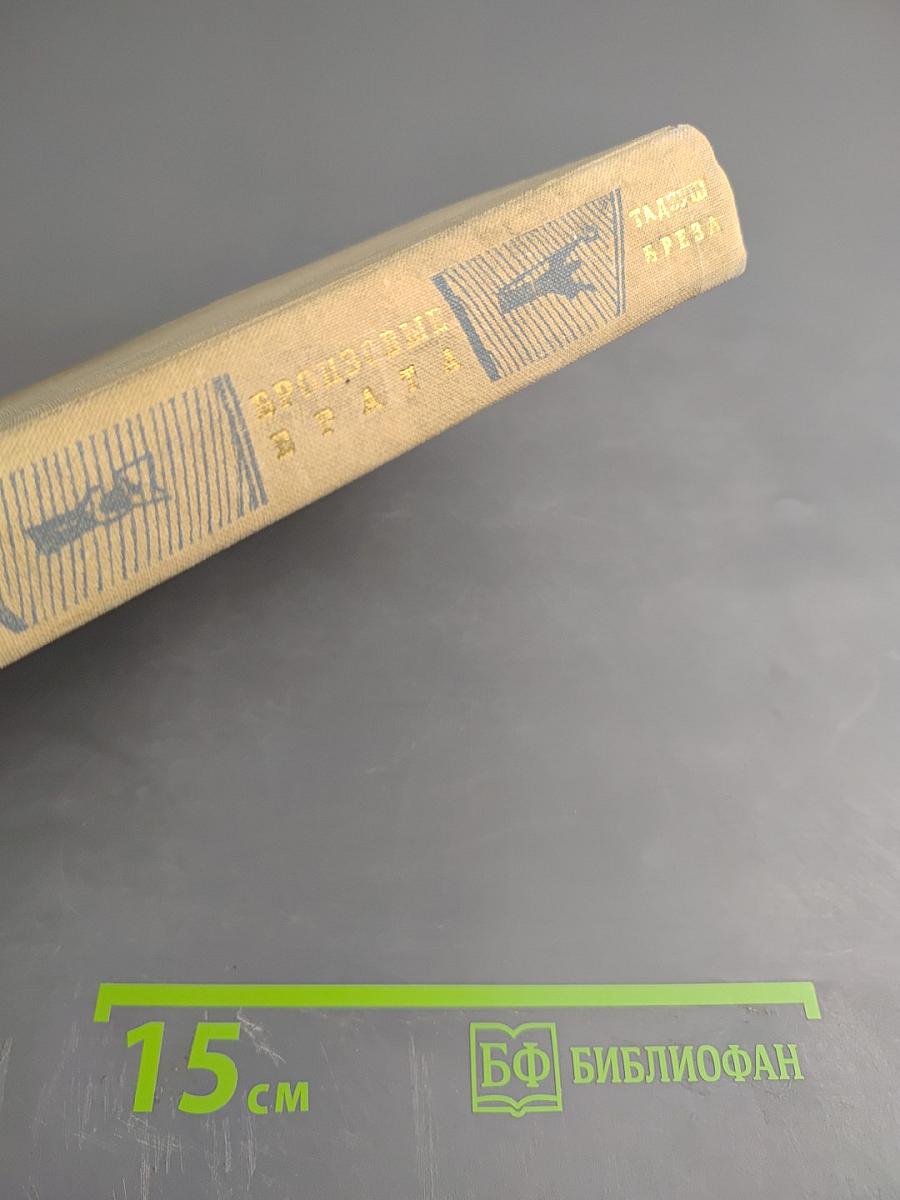 Бронзовые врата