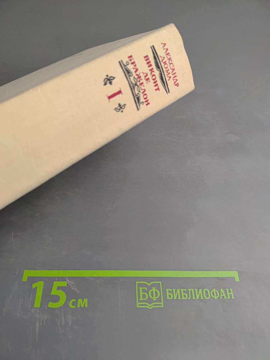 Виконт де Бражелон. Часть 1