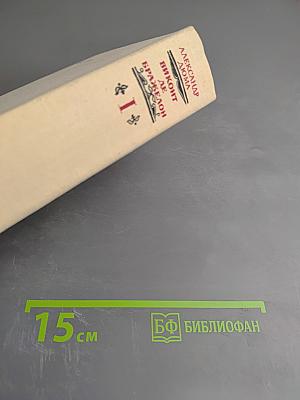 Виконт де Бражелон. Часть 1