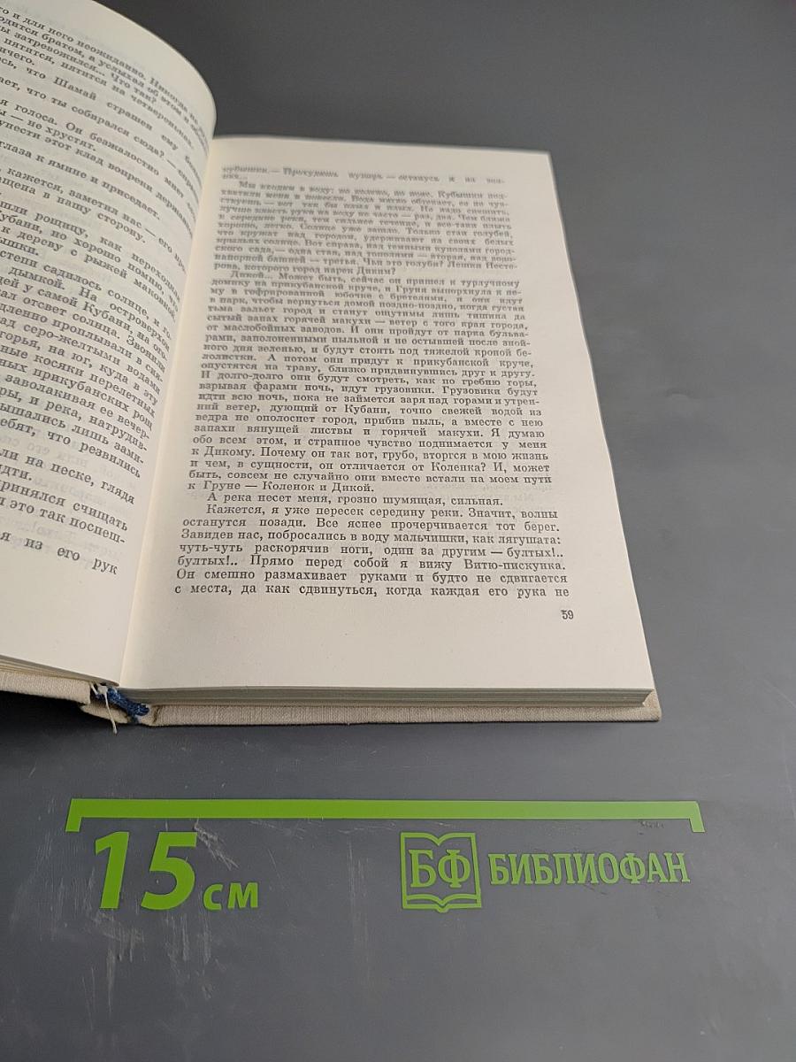 Учитель словесности