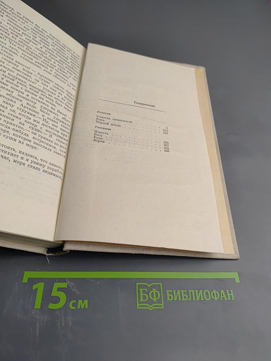 Учитель словесности