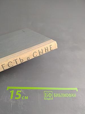 Повесть о сыне