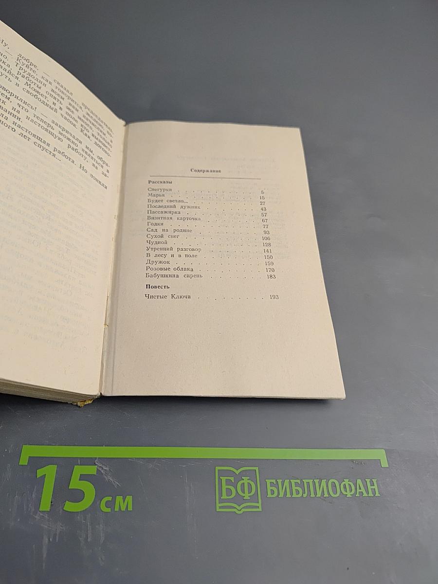 Чистые ключи: Рассказы и повесть