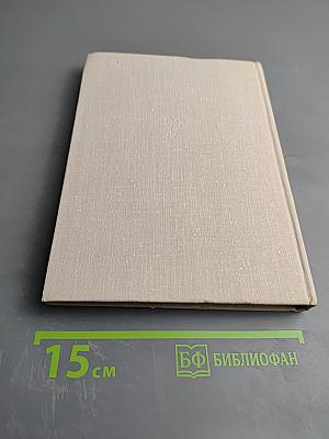 Некоронованные чемпионы