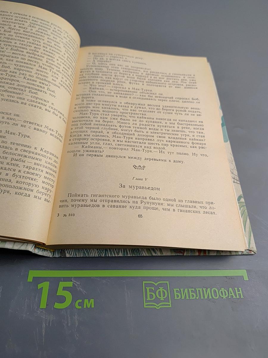 Три билета до Эдвенчер. Путь ненгуренка