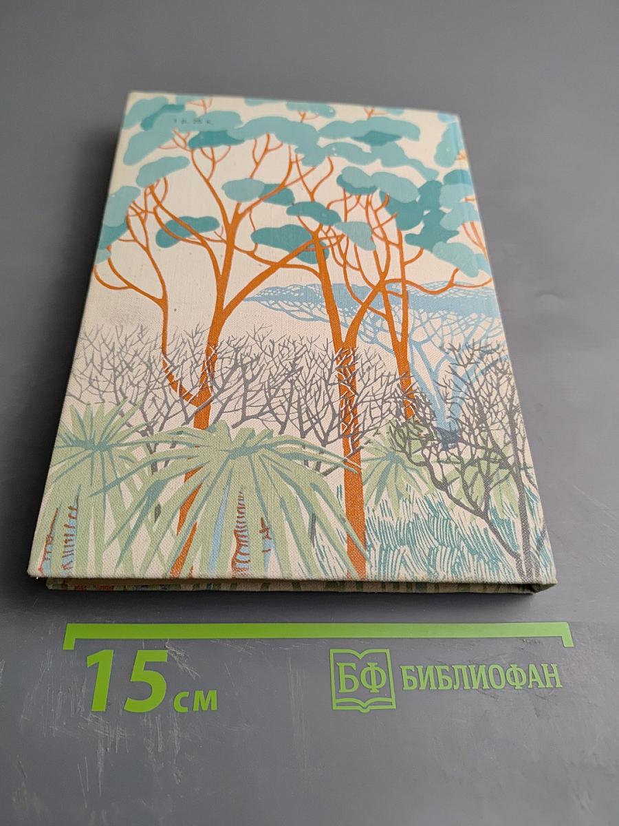 Три билета до Эдвенчер. Путь ненгуренка