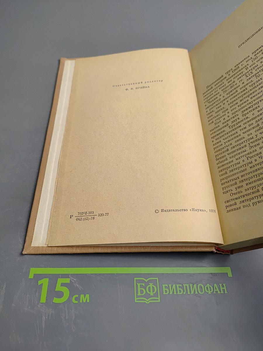 Россия и Чехия. Взаимосвязи литератур 1870-1890