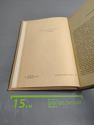 Россия и Чехия. Взаимосвязи литератур 1870-1890