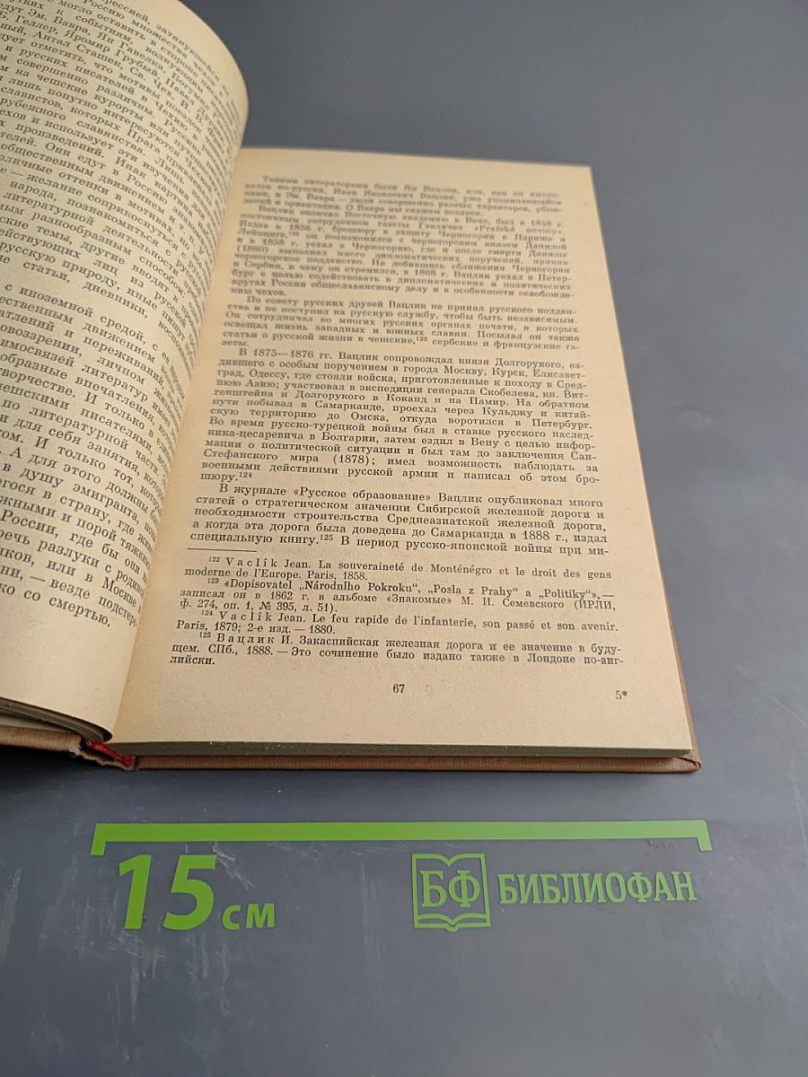 Россия и Чехия. Взаимосвязи литератур 1870-1890