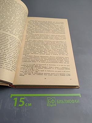 Россия и Чехия. Взаимосвязи литератур 1870-1890