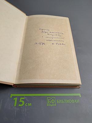 Россия и Чехия. Взаимосвязи литератур 1870-1890