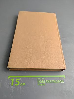 Россия и Чехия. Взаимосвязи литератур 1870-1890