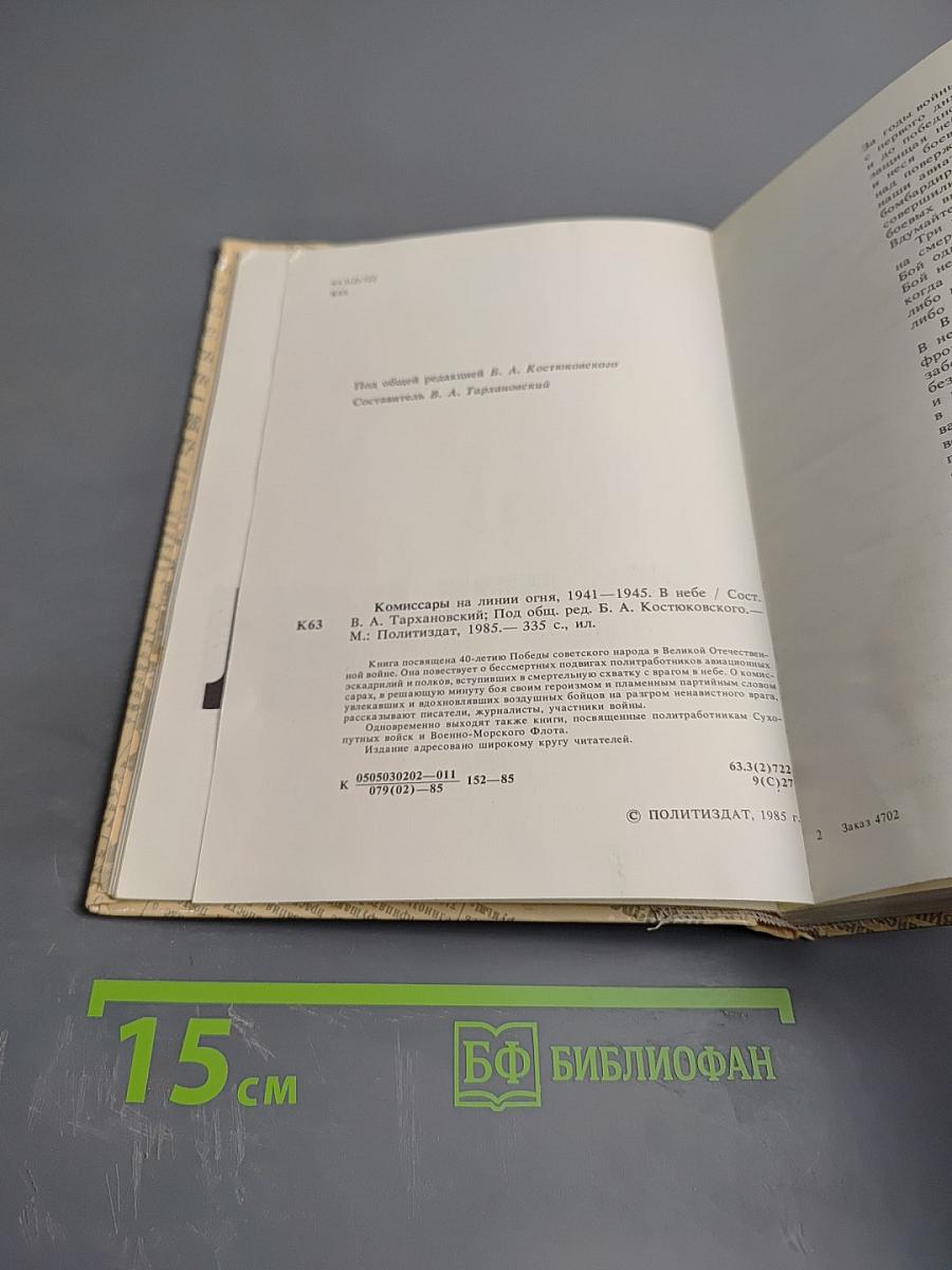 Комиссары на линии огня, 1941-1945. В небе
