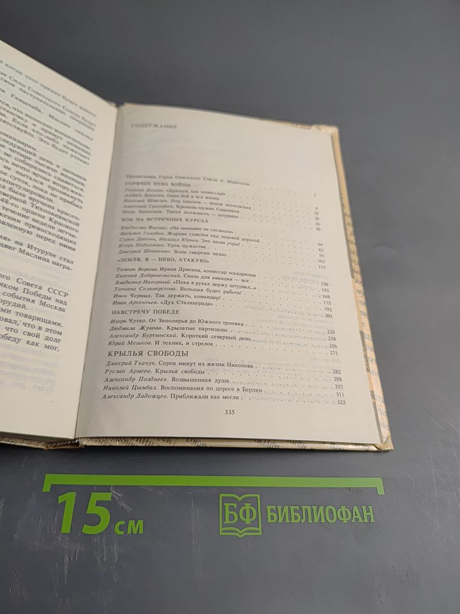 Комиссары на линии огня, 1941-1945. В небе