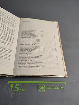 Комиссары на линии огня, 1941-1945. В небе