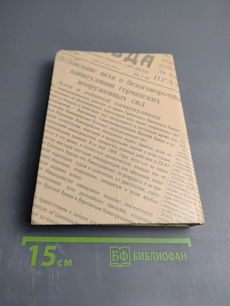 Комиссары на линии огня, 1941-1945. В небе