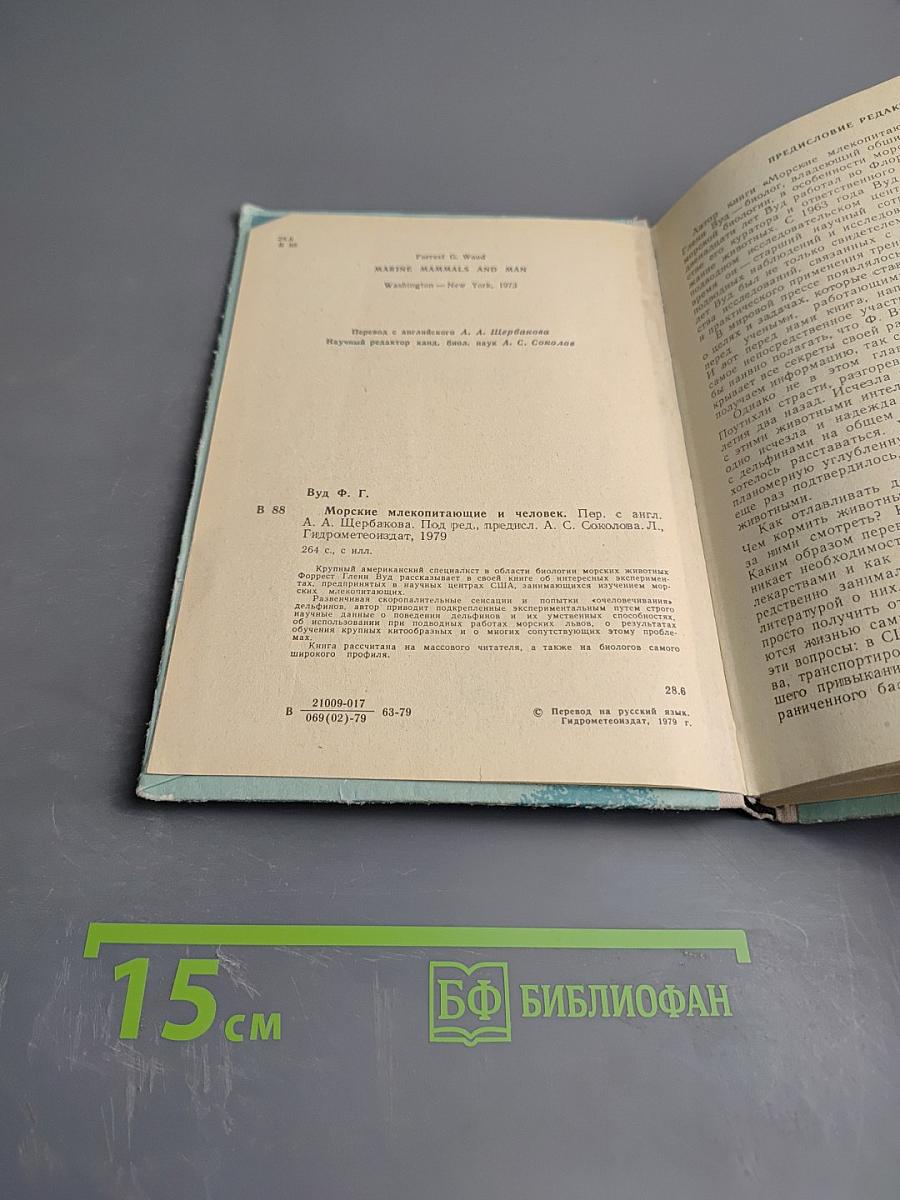 Морские млекопитающие и человек