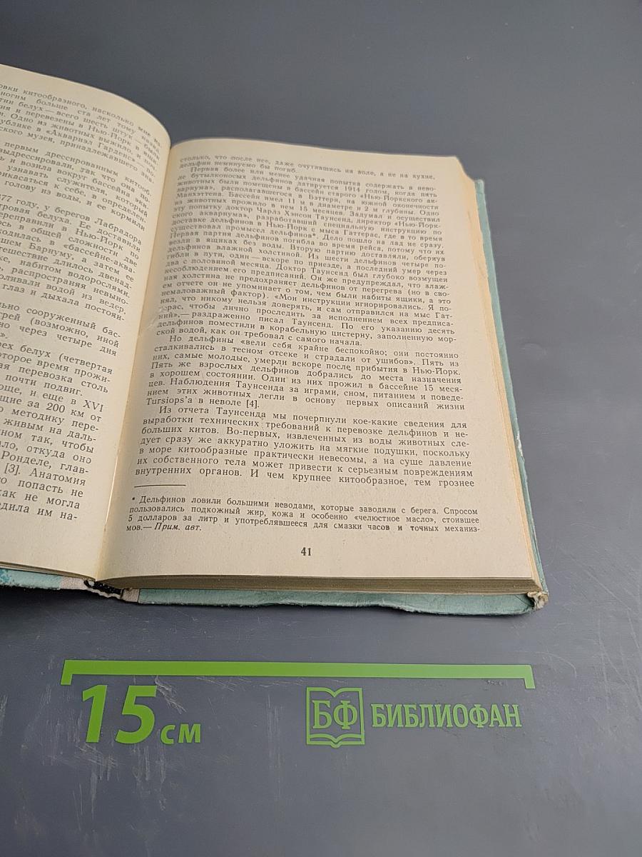 Морские млекопитающие и человек