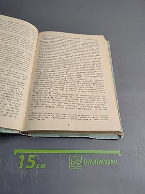 Морские млекопитающие и человек