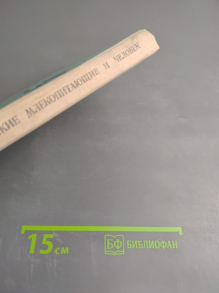 Морские млекопитающие и человек