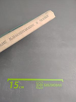 Морские млекопитающие и человек