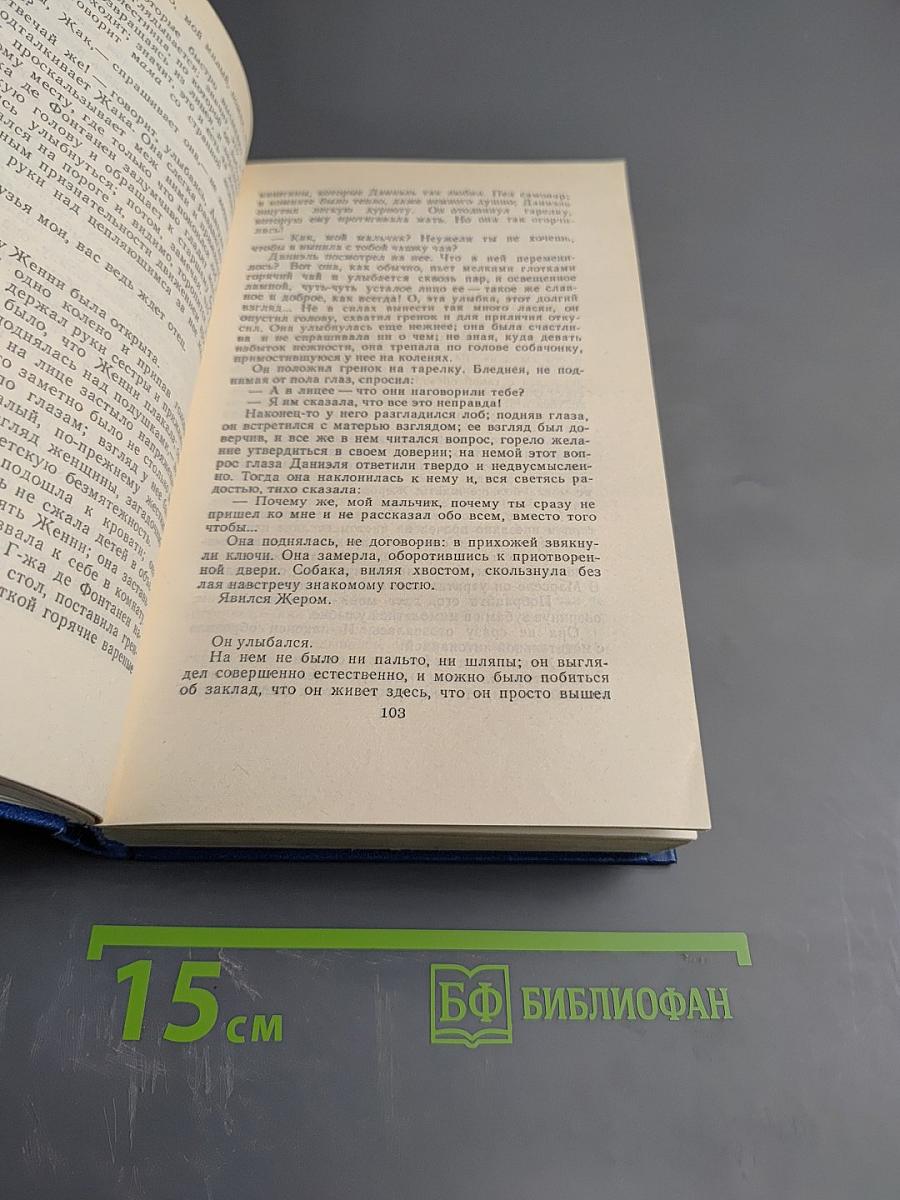 Семья Тибо. Том 1