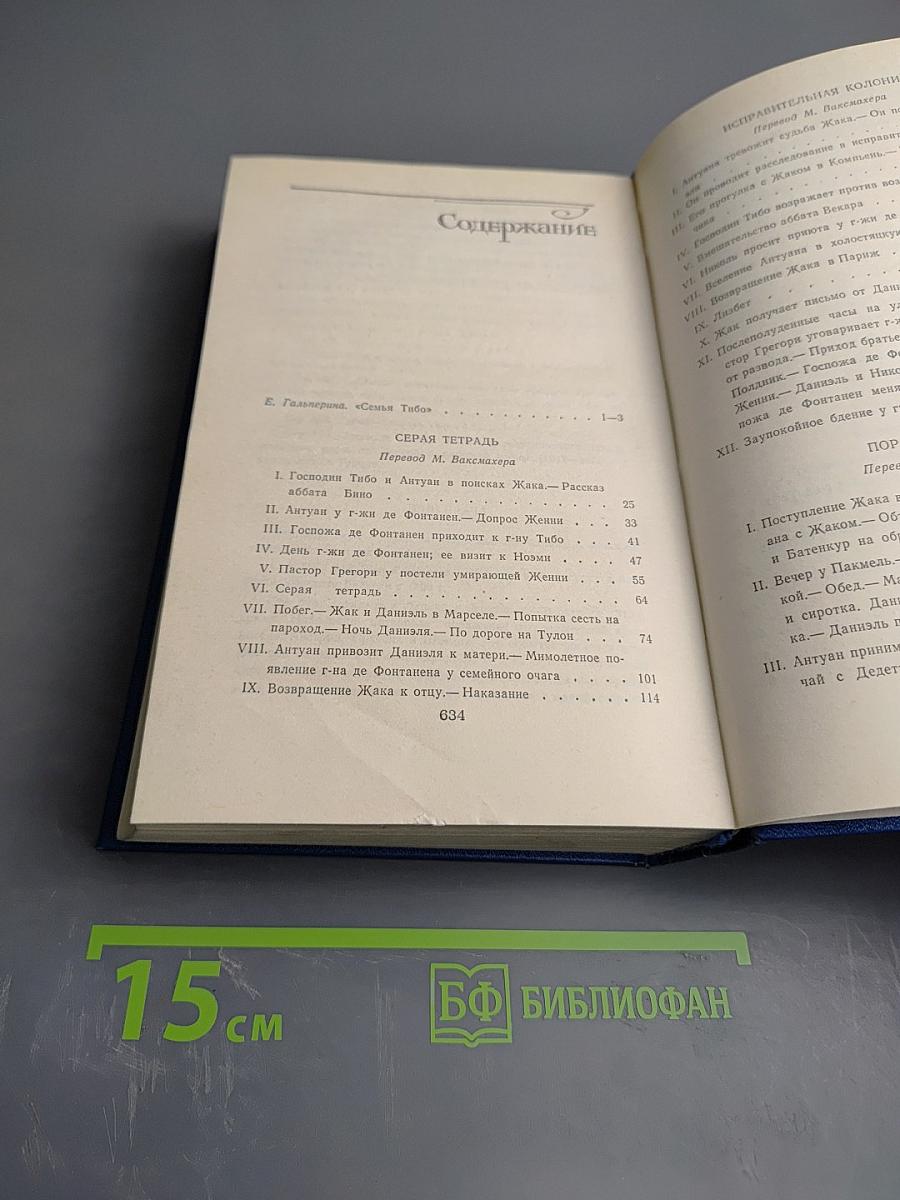 Семья Тибо. Том 1