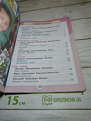 Литературное чтение. 3 класс. Часть 2