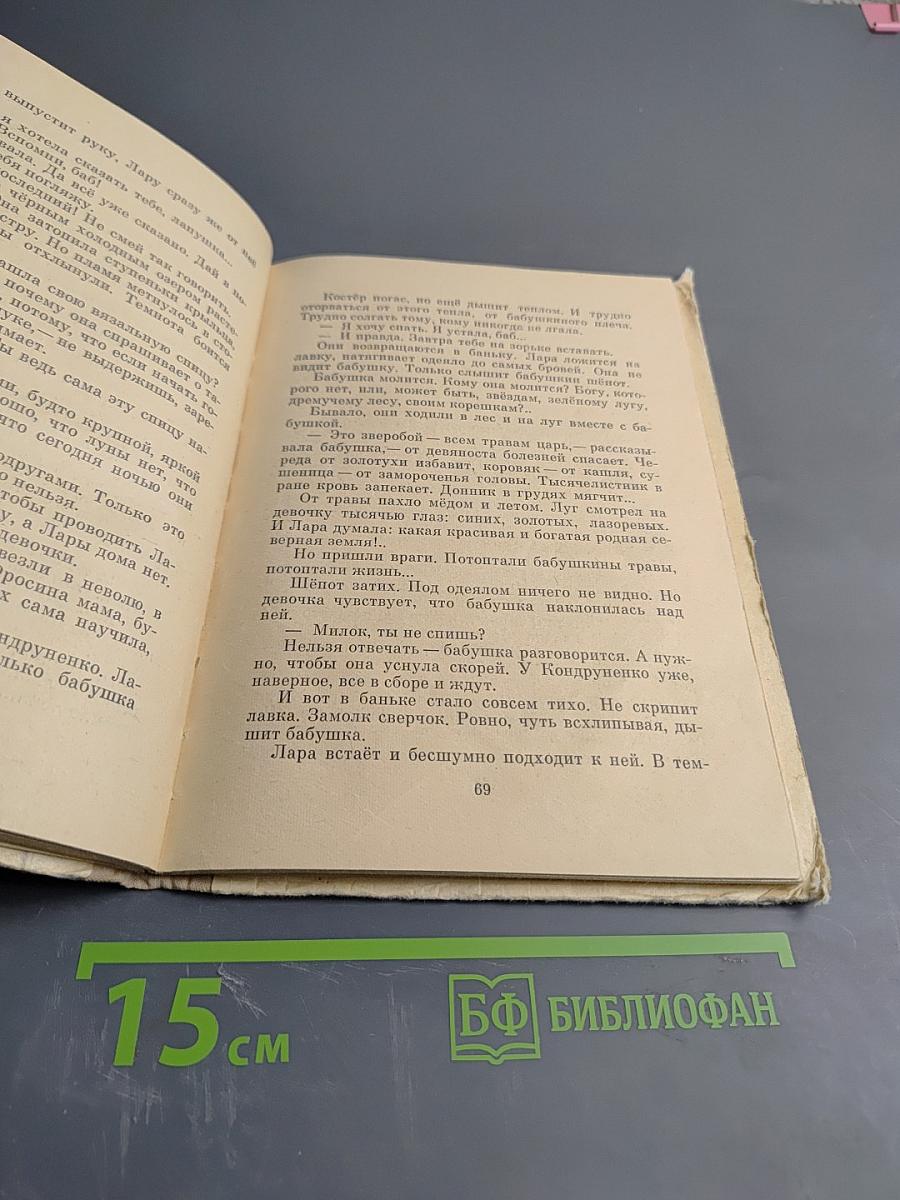 Партизанка Лара