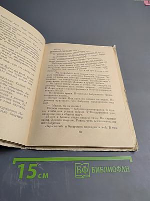 Партизанка Лара