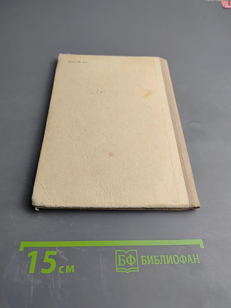 Партизанка Лара