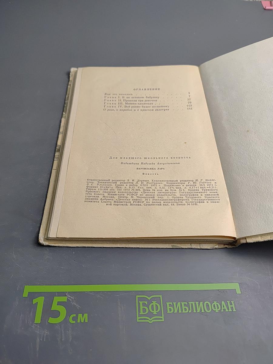 Партизанка Лара