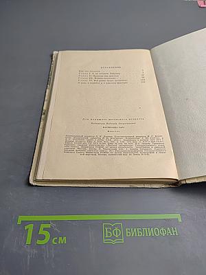 Партизанка Лара