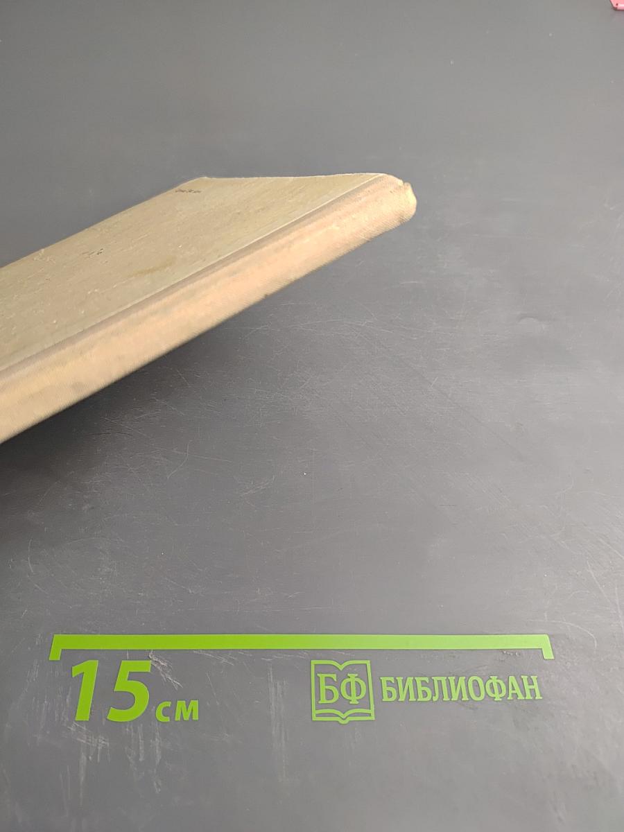 Партизанка Лара