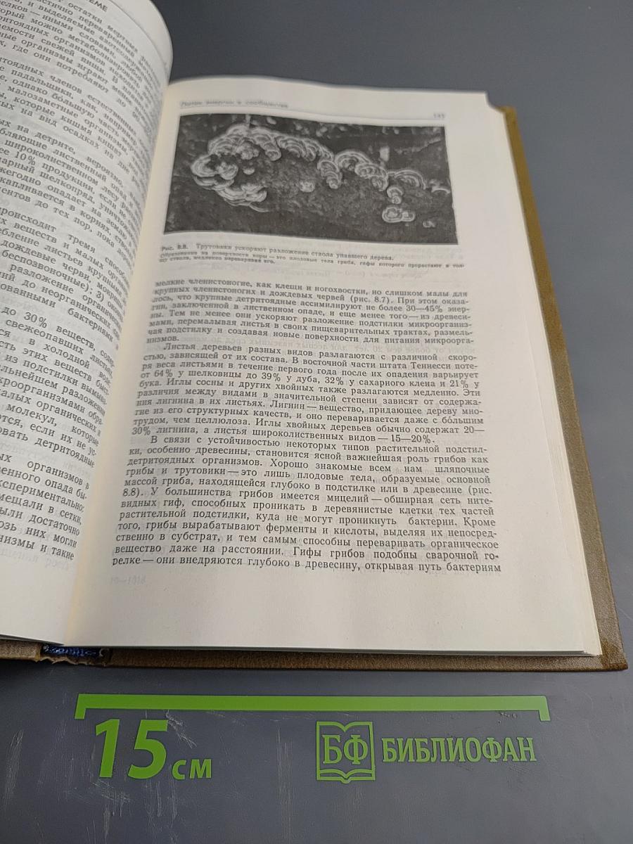 Основы общей экологии