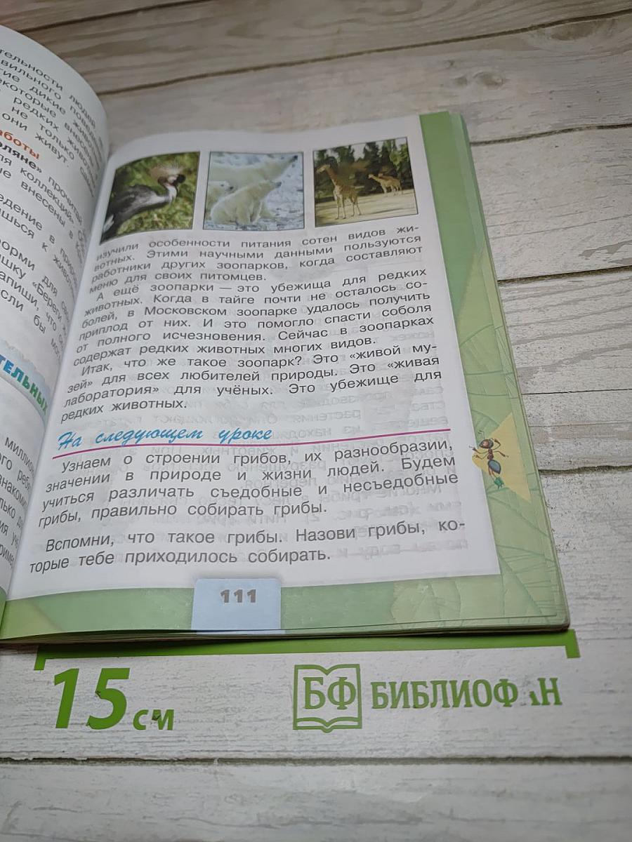 Окружающий мир 3 класс, Часть 1