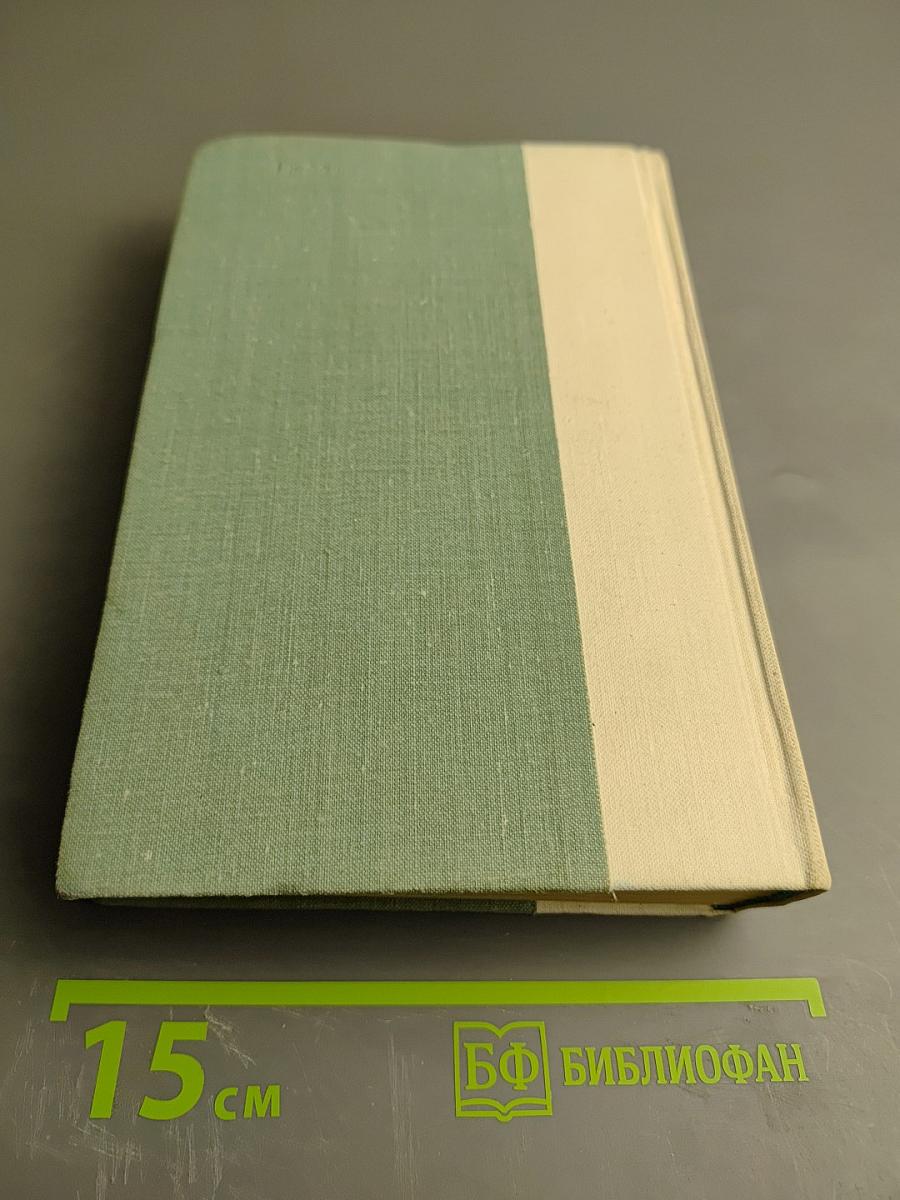 Западноевропейская лирика