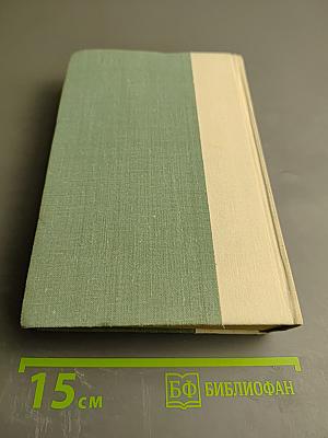 Западноевропейская лирика