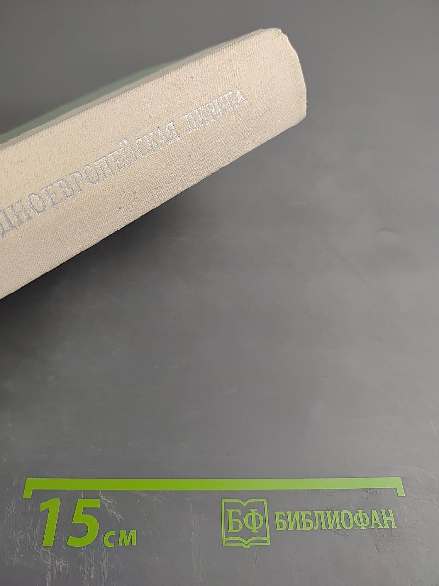 Западноевропейская лирика